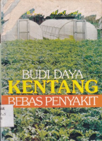 Budidaya Kentang Bebas Penyakit