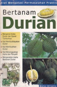 Bertanam Durian