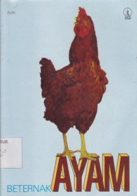 Beternak Ayam