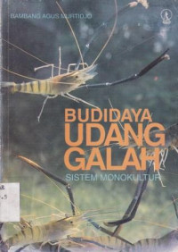 Budidaya Udang Galah sistem monokultur