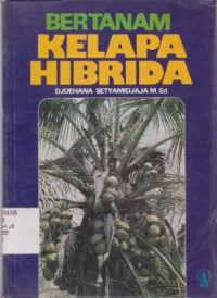 Bertanam Kelapa Hibrida