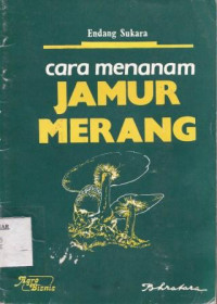 Cara Menanam Jamur Merang