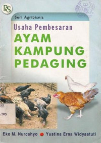 Usaha Pembesaran Ayam Kampung Pedaging