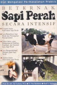 Beternak Sapi Perah Secara Intensif
