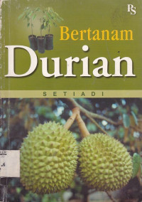 Bertanam Durian
