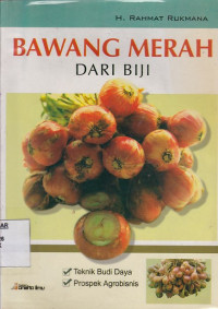 Bawang Merah dari Biji
