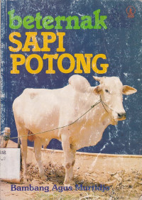 Beternak Sapi Potong