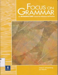 Focus On Grammar